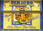 stained leaded glass class of 2010 tiger custom design window